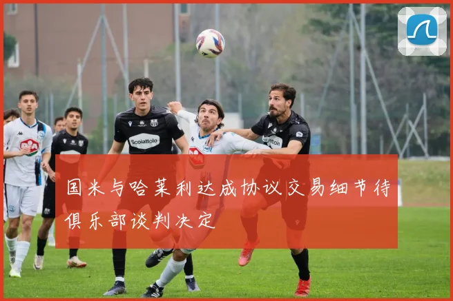 国米与哈莱利达成协议交易细节待俱乐部谈判决定