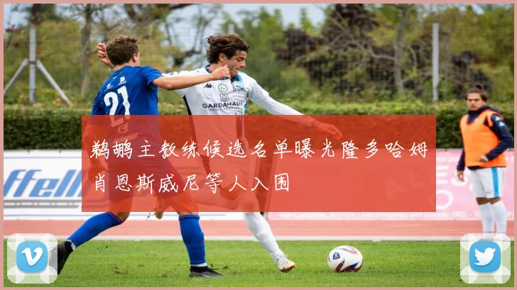 鹈鹕主教练候选名单曝光隆多哈姆肖恩斯威尼等人入围